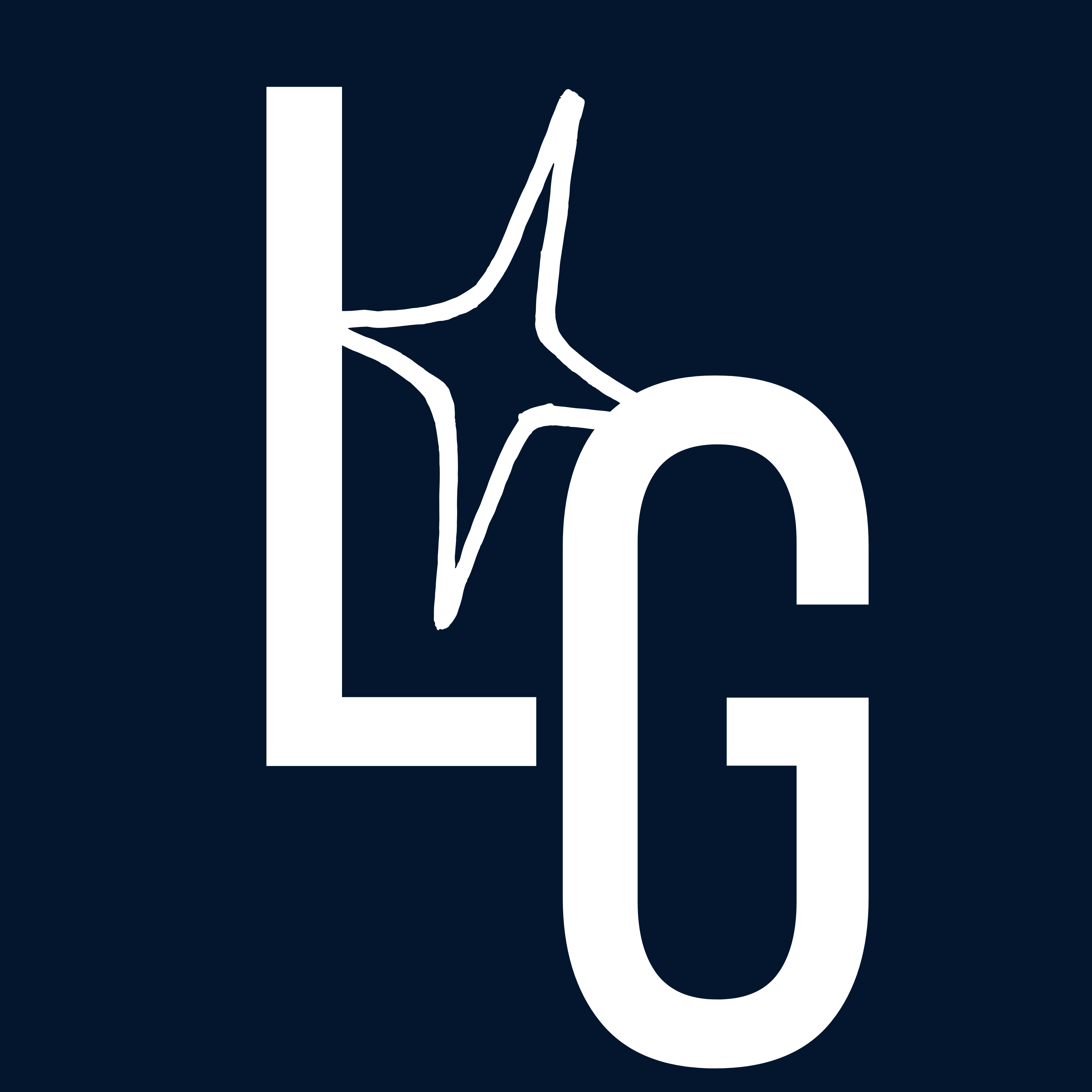Light Guys LLC Logo